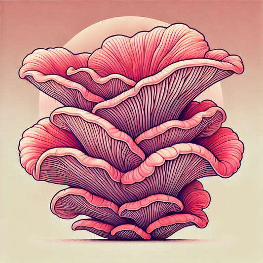 Pink Oyster Mushroom Liquid Culture Syringe (10cc)