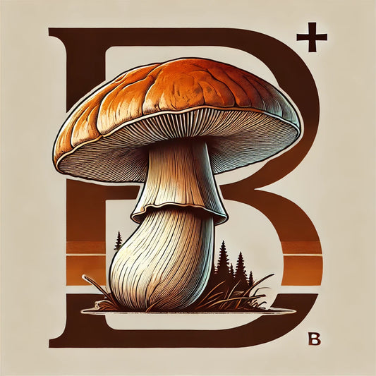 B+ Mushroom Liquid Culture (10cc) *FOR MICROSCOPY RESEARCH ONLY