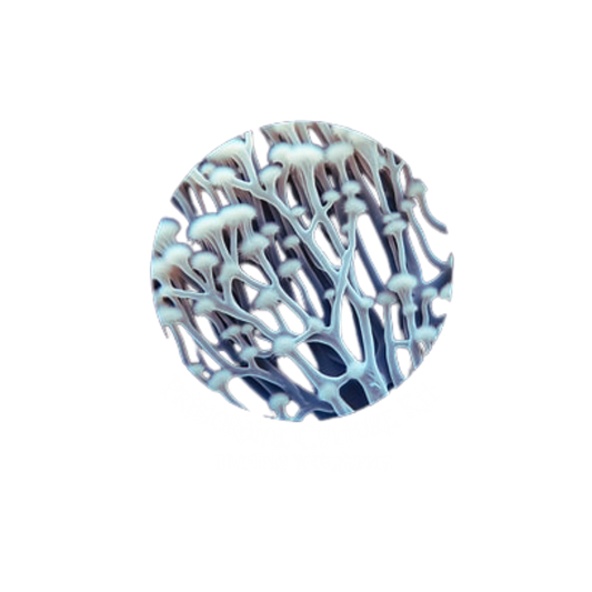30x Syringe Multiplier & Spore Cloning Liquid Culture Kit